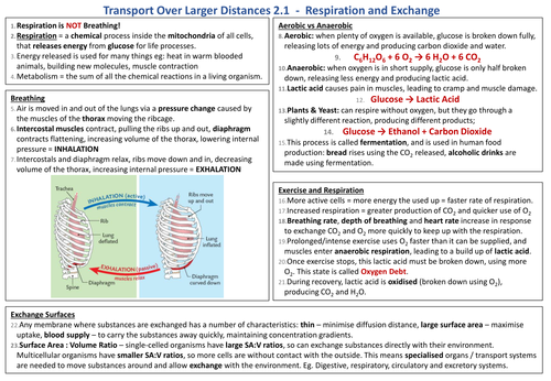 Knowledge Organiser AQA 9-1 GCSE Synergy - Respiration and Exchange ...