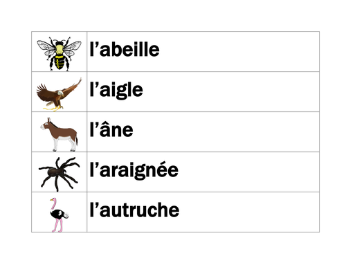 Animaux (Animals in French) Word Wall | Teaching Resources
