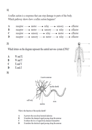 docx, 262.59 KB