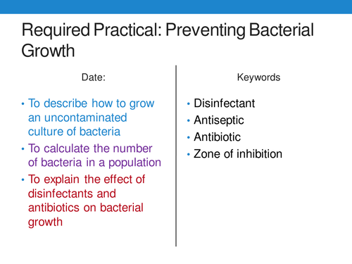 Biology coursework bacteria picture