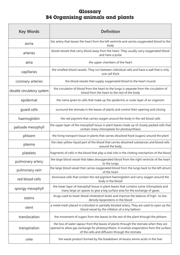 GCSE AQA B4 Organising animals and plants Glossary worksheet | Teaching ...