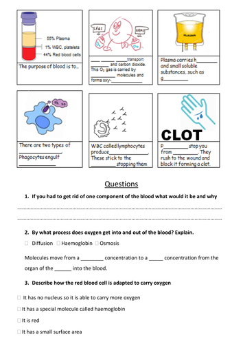 bloodstain-science-worksheet-answers