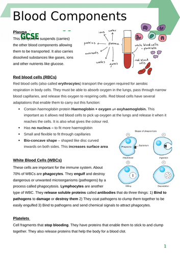 assignment for blood