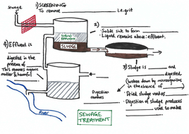 Potable Water And Waste Water Treatment Teaching Resources