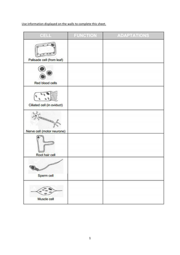 New BTEC Applied Science B2 Cell specialisation and B3 Tissue structure and function