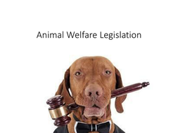 BTEC Animal Management Unit 3: UK Legislation | Teaching Resources