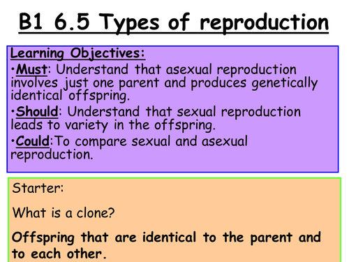 New Gcse Geneticslesson 5b2 65 Sexual And Asexual Reproduction Teaching Resources 