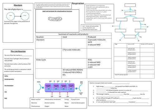 docx, 80.19 KB