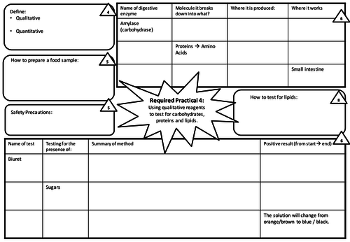 New AQA Biology GCSE 9-1 Biology Required Practical Revision Sheets ...