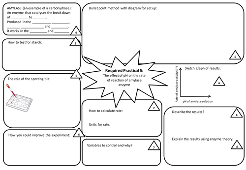 New AQA Biology GCSE 9-1 Biology Required Practical Revision Sheets ...