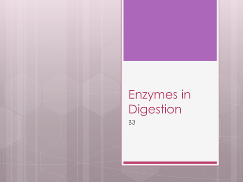 NEW AQA Biology GCSE B3 Enzymes | Teaching Resources