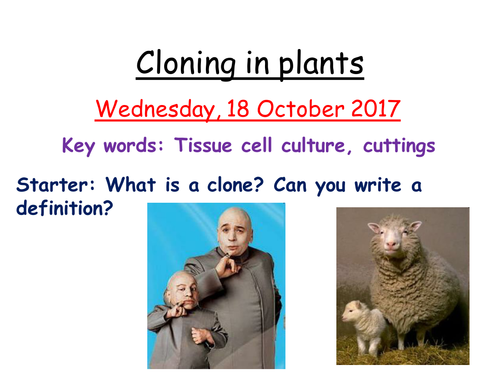 Cloning, GM and selective breeding bundle New 9-1 GCSE AQA | Teaching ...