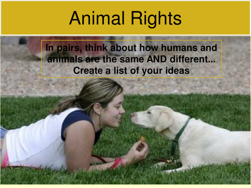 Introduction to animal rights | Teaching Resources