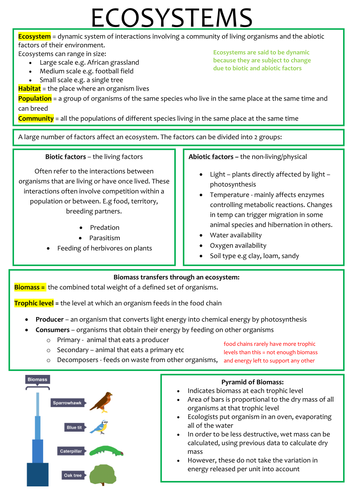 docx, 451.78 KB
