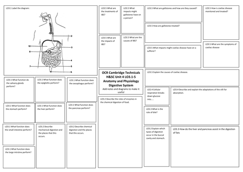 Digestive System and Malfunctions H&SC Level 3 Unit 4 Cambridge Technical Revision