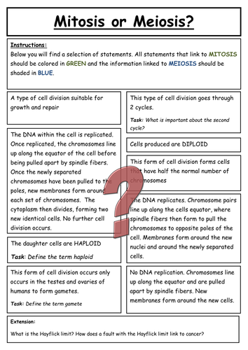 docx, 14.58 KB