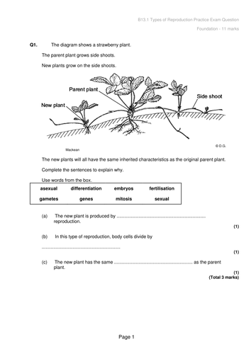 docx, 66.46 KB