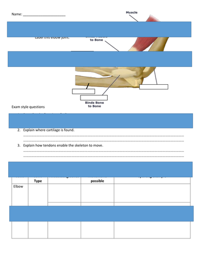 OCR GCSE PE- Components of a Joint HARD and EASY | Teaching Resources