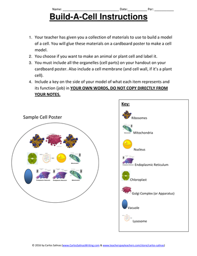 Build A Cell Cut Out Activity | Teaching Resources