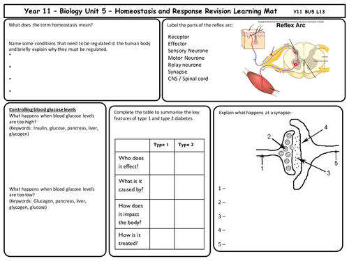 AQA New Spec GCSE - Unit 5 - Homeostasis and Response Revision mats ...