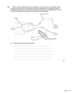 New BTEC Applied Science B3 Tissues structure and function_Nervous