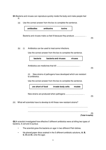 docx, 42.05 KB