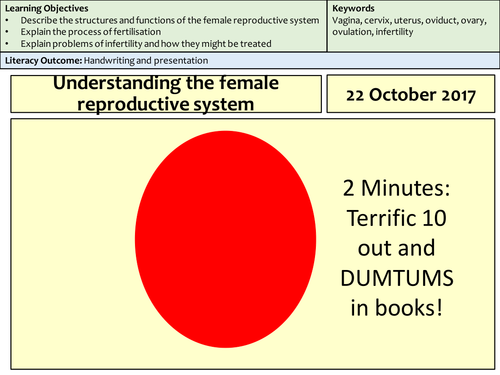 KS3 Science understanding the female reproductive system | Teaching