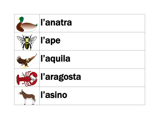 Animali (Animals in Italian) Word Wall | Teaching Resources