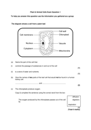 GCSE KS4 Biology (Science) Cells Revision Lesson ...