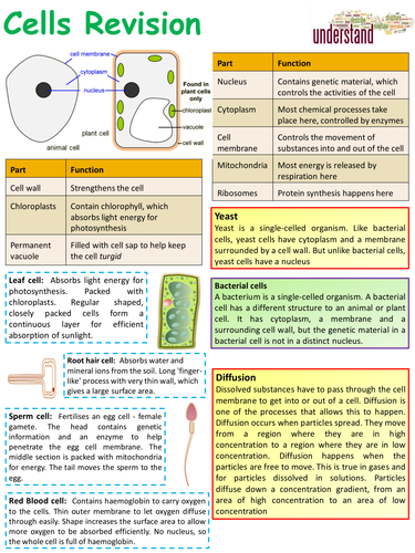 Gcse Ks4 Biology Science Cells Revision Lesson Teaching Resources 8204