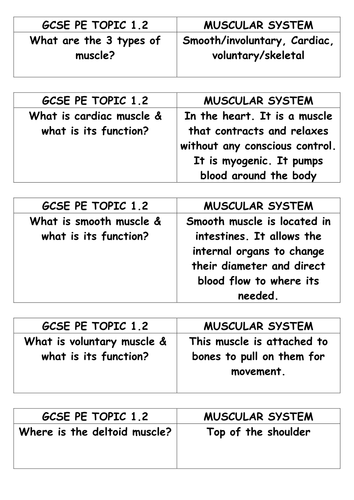 GCSE PE: edexcel (New Spec 2016) Component 1.2 Muscular System Revision cards