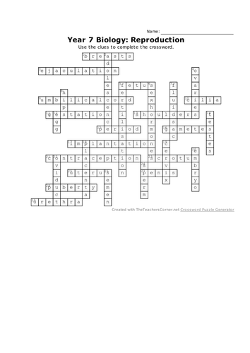 B1 3 Human Reproduction Crossword Teaching Resources