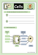 27+ Animal Cell Diagram Ks4 Pictures