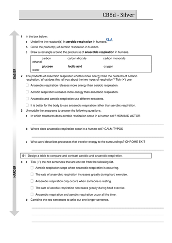 docx, 55.89 KB