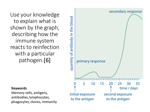 New GCSE Infection and Immunity topic | Teaching Resources