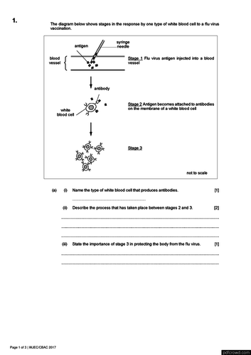 pdf, 122.1 KB