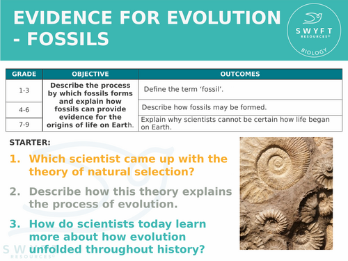 NEW AQA GCSE Trilogy (2016) Biology - Evidence for evolution: Fossils