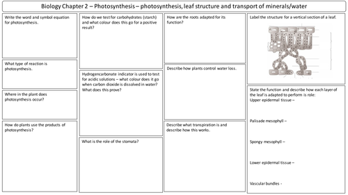 NEW AQA 2016 GCSE Trilogy Biology revision mat Photosynthesis