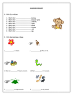 Beginners grammar worksheet (a/an, plural/singular, verb 