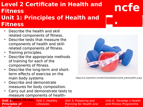 principles of health and fitness assignment