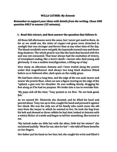 My Antonia Essay Sample | Blog