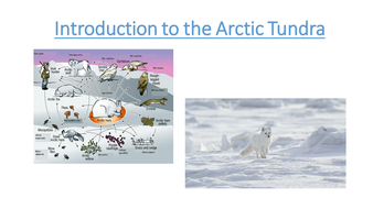 case study #1 arctic tundra