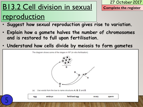 Ks4 B122 Cell Division In Sexual Reproduction Teaching Resources 4675