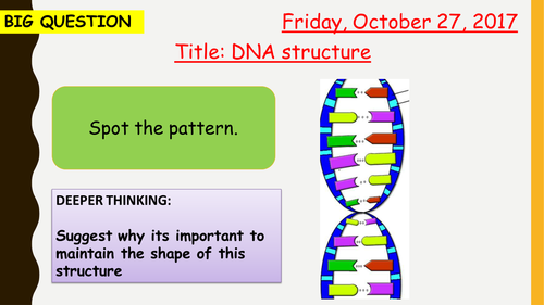AQA new specification-DNA structure and protein synthesis-B13.5
