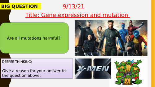 AQA new specification-Gene expression and mutation-B13.6