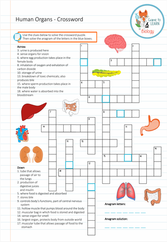 Organs Crossword Puzzle (KS3/4) Teaching Resources