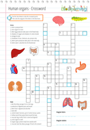 Organs Crossword puzzle (KS3/KS4) Teaching Resources