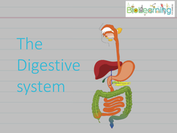 Digestive system - Powerpoint PPT (KS3/KS4) | Teaching Resources