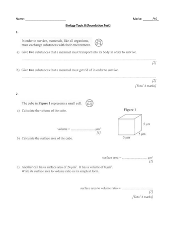 docx, 531.75 KB