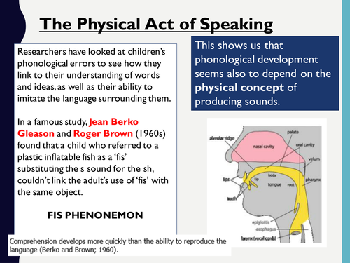 AQA English Language A Level 7701- CLA-Intro to phonology.